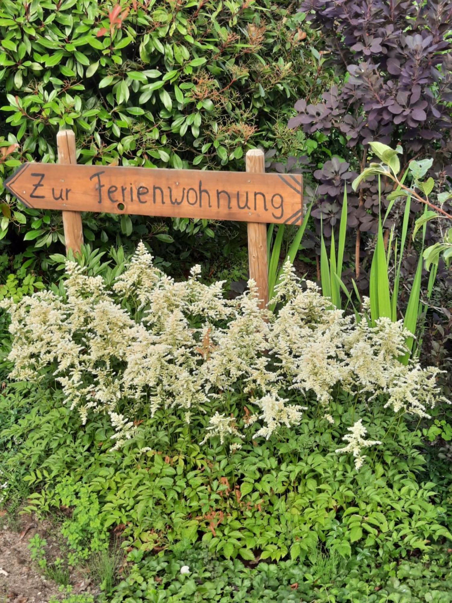 Ferienwohnung Van Den Berg Rees Exteriér fotografie